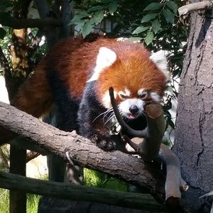 Meet your Posher, Ari